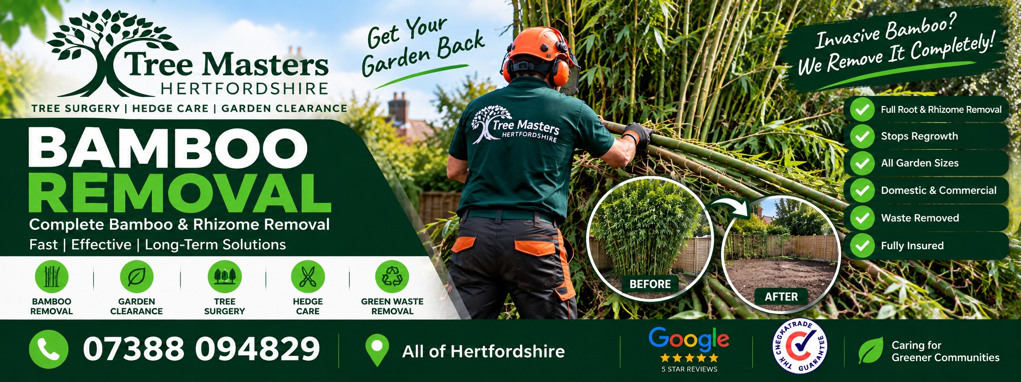 Tree Masters Hertfordshire bamboo removal - an operative cutting through a dense bamboo clump