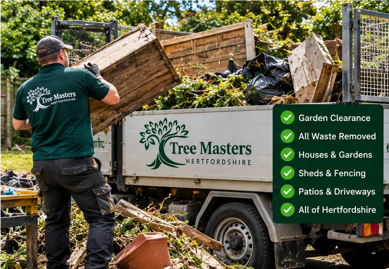 Green waste loaded into the Tree Masters tipper