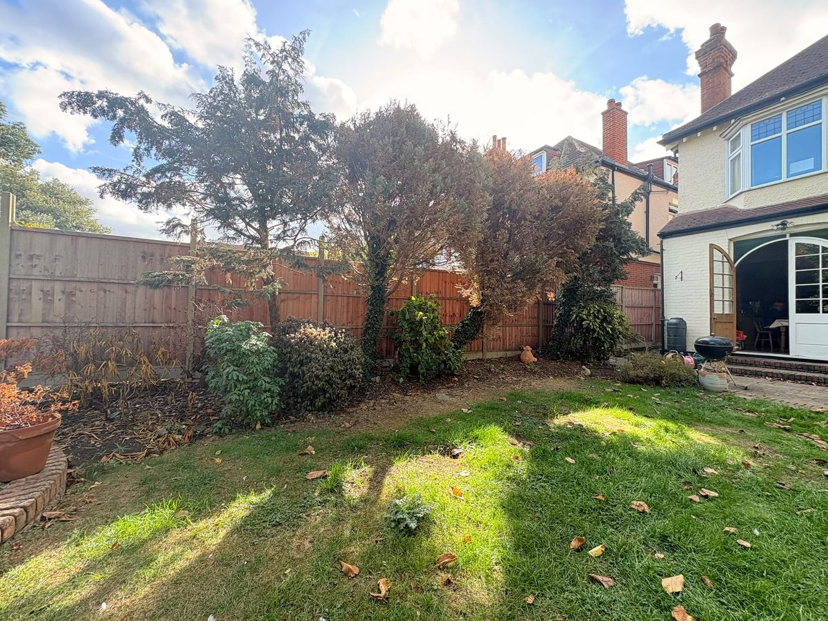 Dead and browning conifers growing along a close-boarded fence in a Potters Bar back garden, with a period house on the right