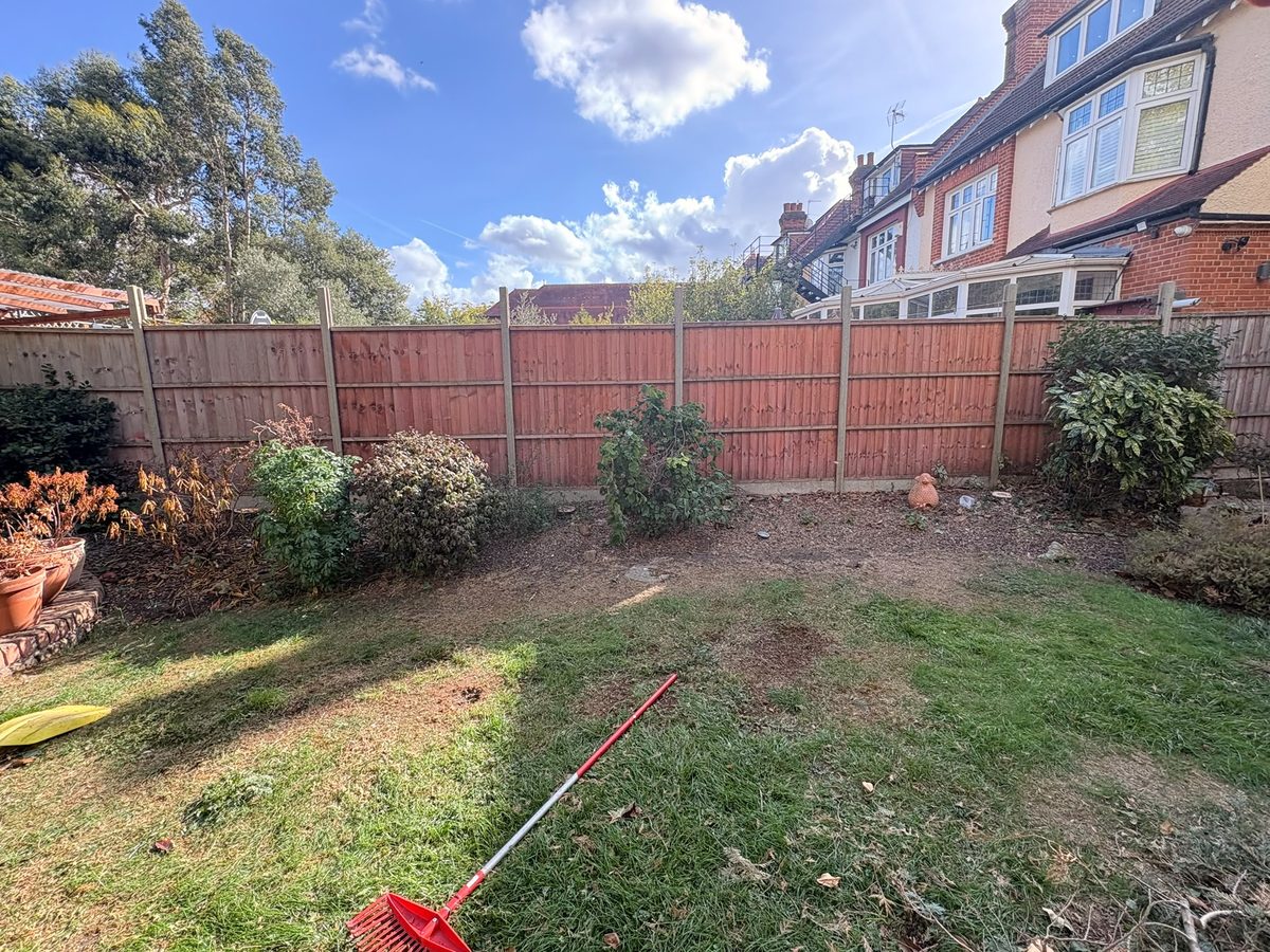 The same Potters Bar back garden after dead tree removal, with the conifers gone, the fence in view and the lawn raked clear