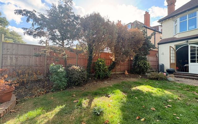 Dead and browning conifers growing along a close-boarded fence in a Potters Bar back garden, with a period house on the right
