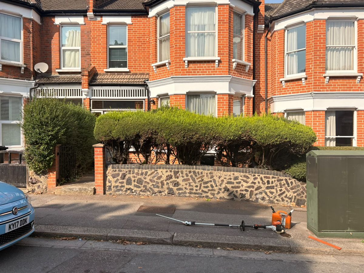 Front garden hedge in St Albans with a long-reach hedge trimmer and fuel can set down on the pavement