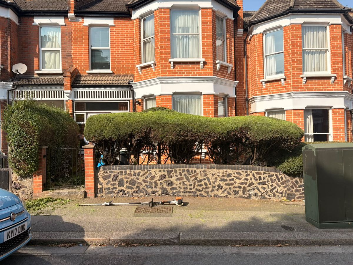The same St Albans front hedge during hedge cutting, with cuttings on the pavement